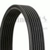 CONTITECH 7DPK1360 V-Ribbed Belts